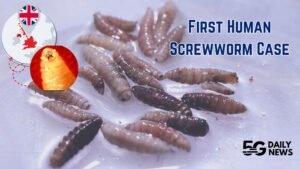 Flesh-Eating Screwworm in the U.S